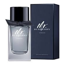Burberry Mr BURBERRY Indigo Eau de Toilette Vapo 50 ml - Profumo Uomo
